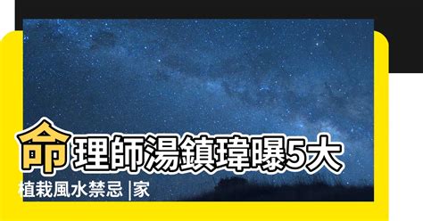 巴黎美人風水|命理師湯鎮瑋曝5大植栽風水禁忌 